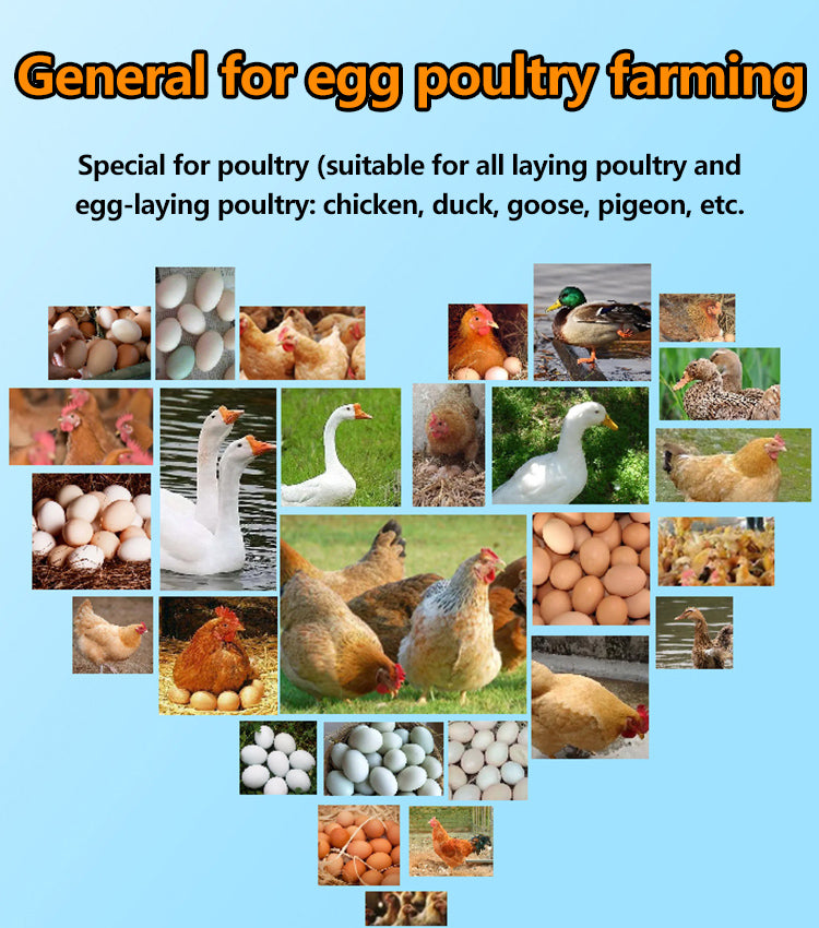 【2/4/6 db】 🦆🐓🦤Táplálékkiegészítő csirkék, kacsák és libák tojástermeléséhez. Tápanyagkiegészítő takarmányozáshoz.