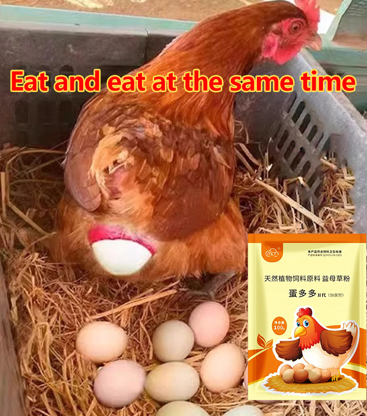 【2/4/6 db】 🦆🐓🦤Táplálékkiegészítő csirkék, kacsák és libák tojástermeléséhez. Tápanyagkiegészítő takarmányozáshoz.