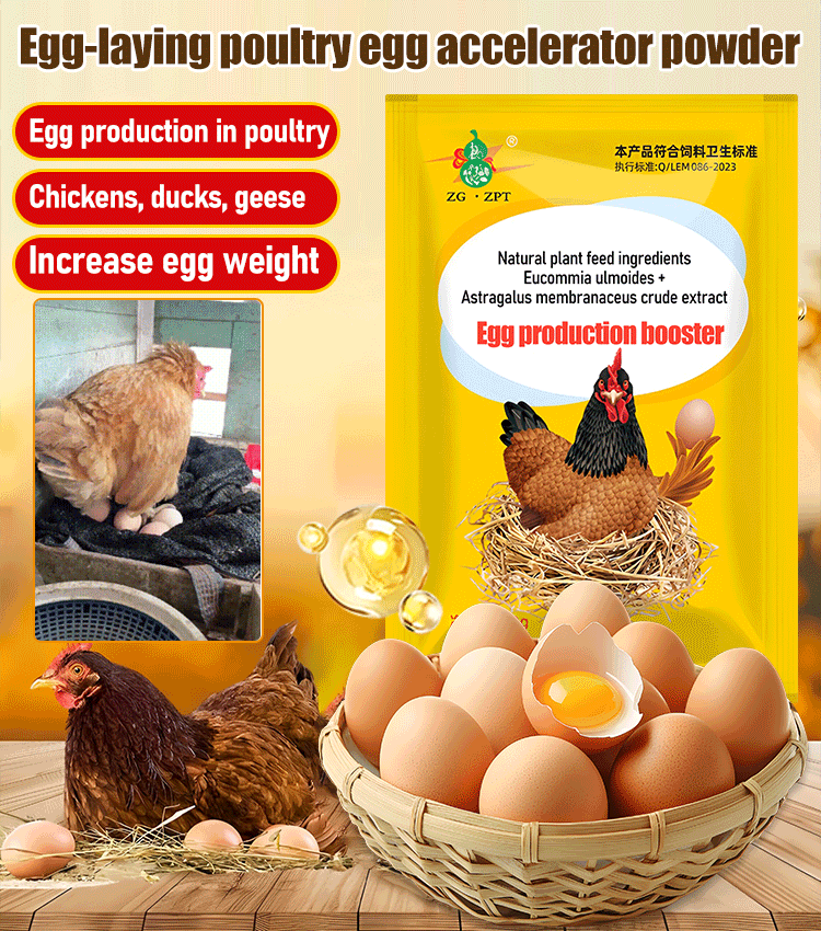 【2/4/6/8 db.】 🦆🐓Táplálékkiegészítő csirke-, kacsa- és libatojástermeléshez. Táplálékkiegészítő etetéshez.