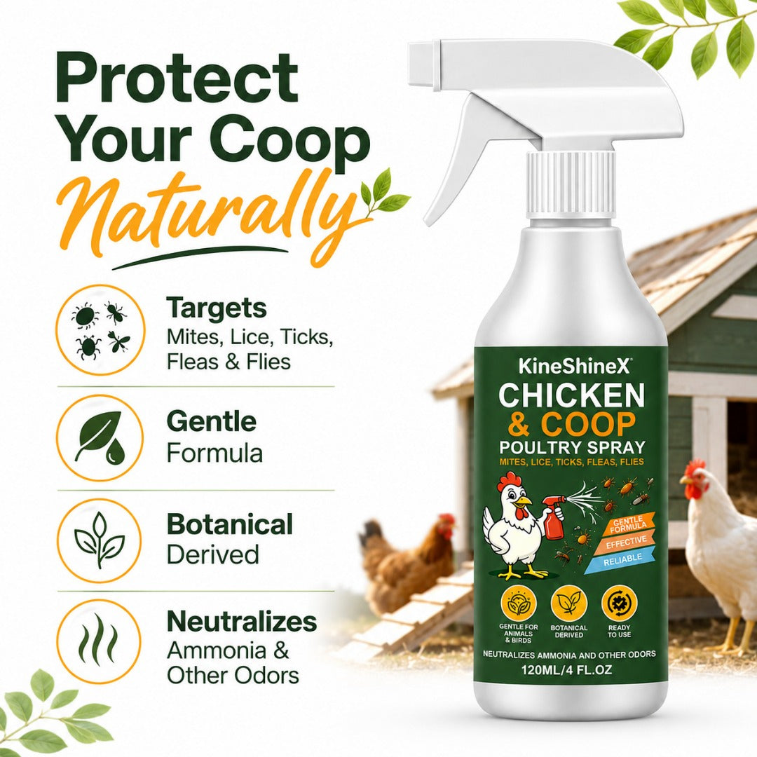 🐔🌿【2 az 1-ben szag- és rovarriasztó spray tyúkólokhoz】✨ Egyetlen fújás semlegesíti a szagokat és taszítja a rovarokat, így tyúkólja környezete frissebb lesz!