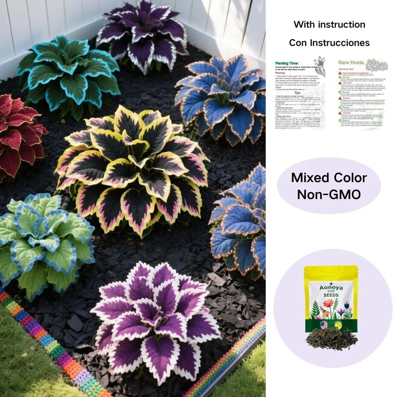 🌼 Vegyes hosta magvak: Egy színfolt minden évszakhoz